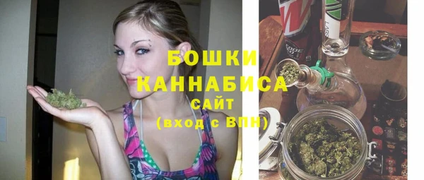стафф Каменка