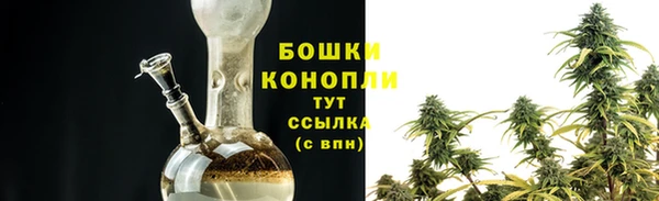 стафф Каменка