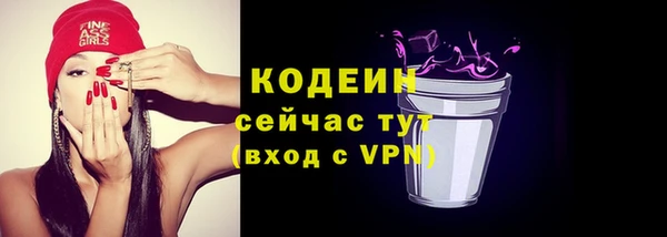 стафф Каменка