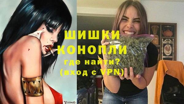 стафф Каменка