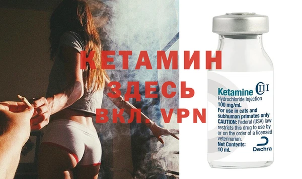 стафф Каменка