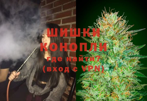 стафф Каменка